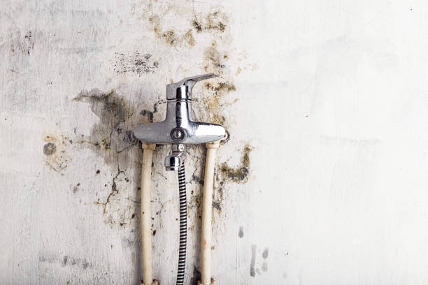 Best Mold Removal Near Me  in Huron, CA