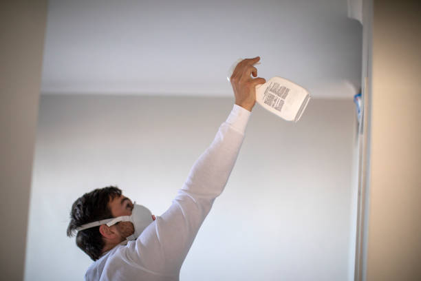 Best Water Damage Restoration  in Huron, CA