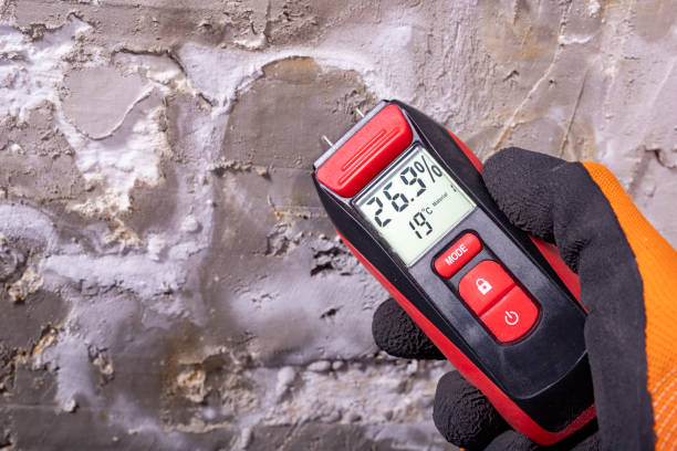 Best Residential Mold Removal  in Huron, CA