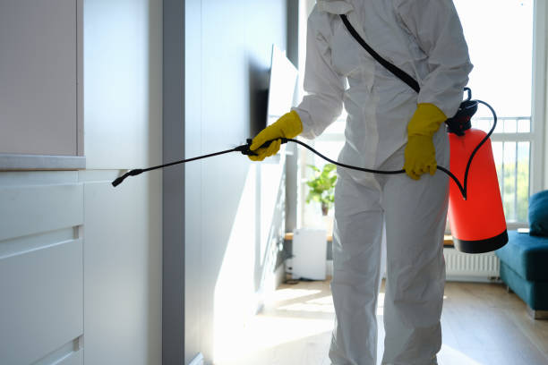 Crawl Space Mold Removal in Huron, CA