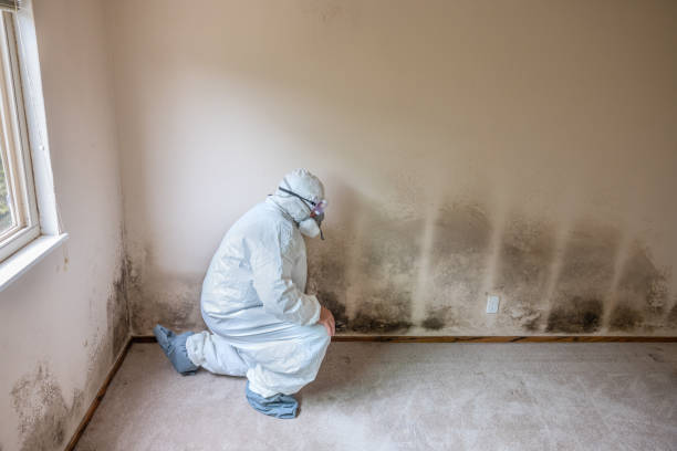 Best Mold Testing  in Huron, CA