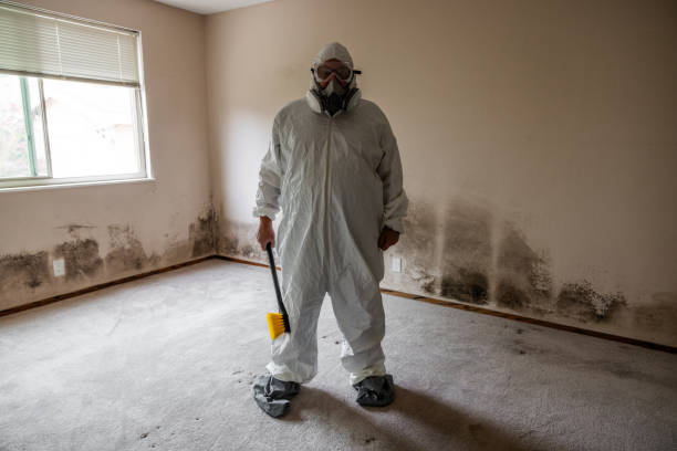Best Mold Testing  in Huron, CA